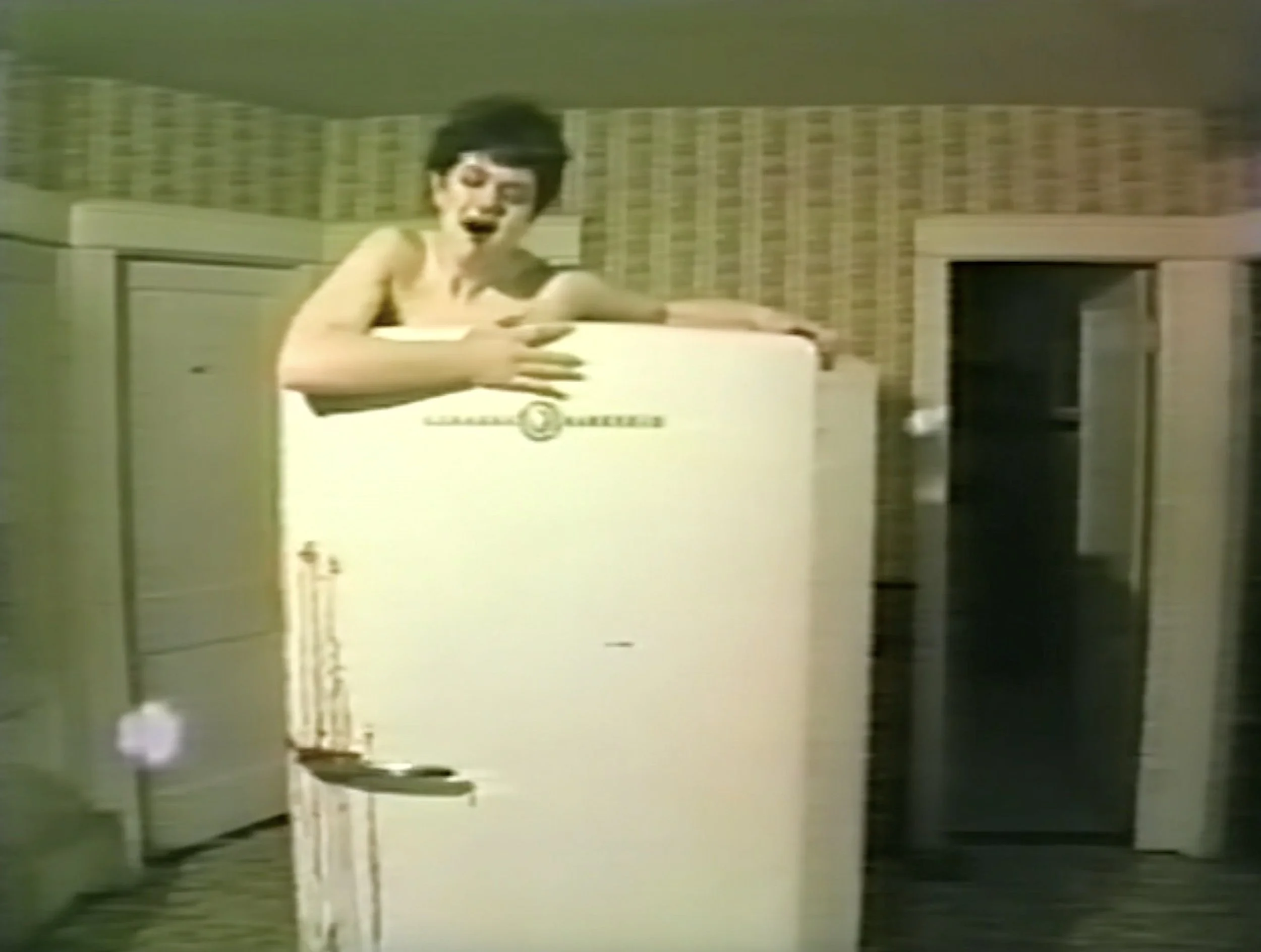 Attack of the Killer Refrigerator / The Hook Of Woodland Heights